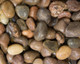 Scottish-Cobbles-50-80mm.jpg.jpeg Scottish-Cobbles-50-80mm.jpg.jpeg